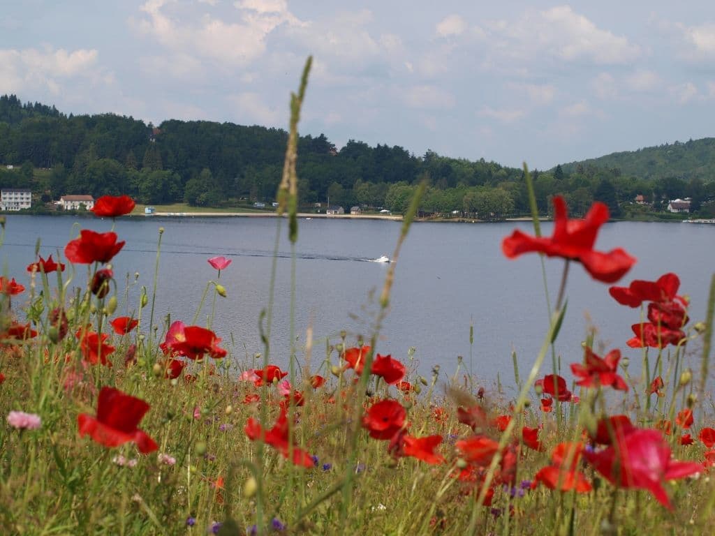 Ile de Vassivière_3