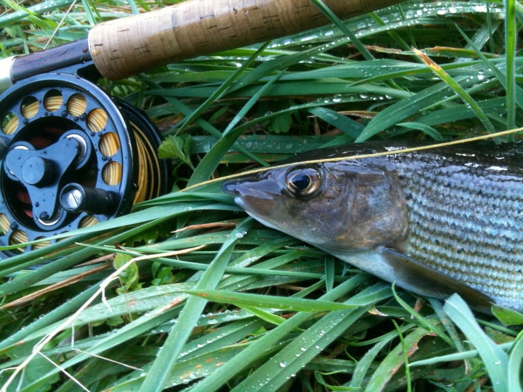 La Pêche à Vassivière_2
