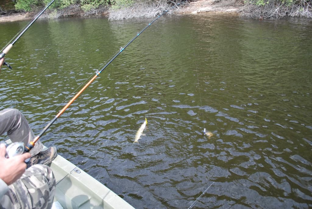 La Pêche à Vassivière_4