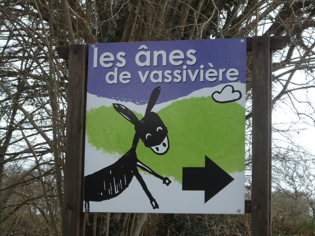 Meublé de tourisme Les Anes de Vassivière_14