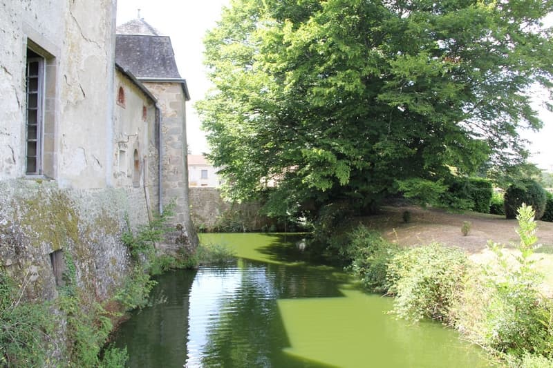 Château de Fromental_4
