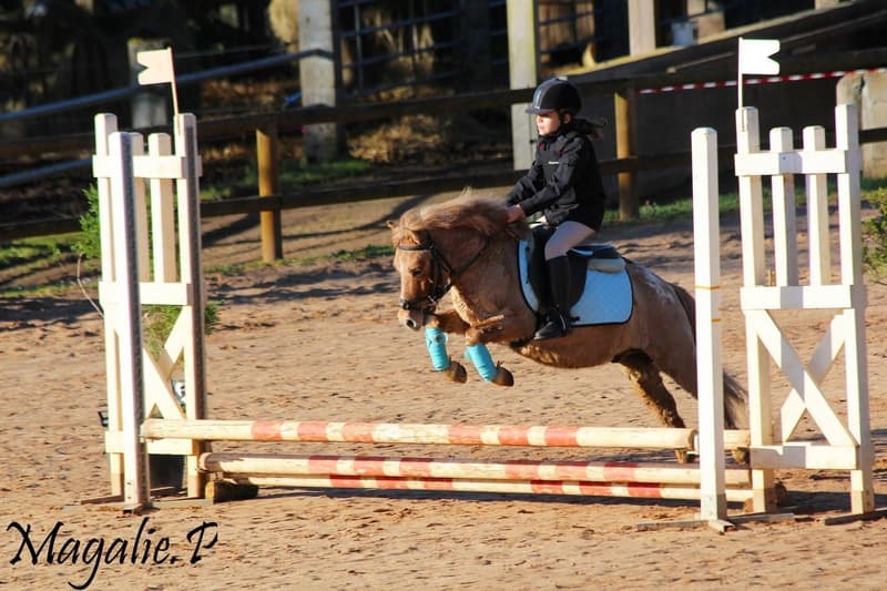 Haras Valdor_4