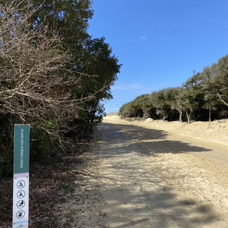 Entre Dune et Golf_Moliets_Landes Atlantique Sud