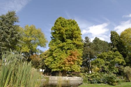 Parc Victor Thuillat_2