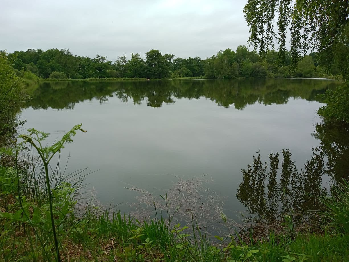 Etang de pêche de Peyrilhac_2