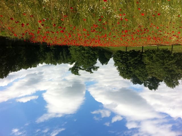 Jardin en Mouvement - Promenade Gilles Clément_2