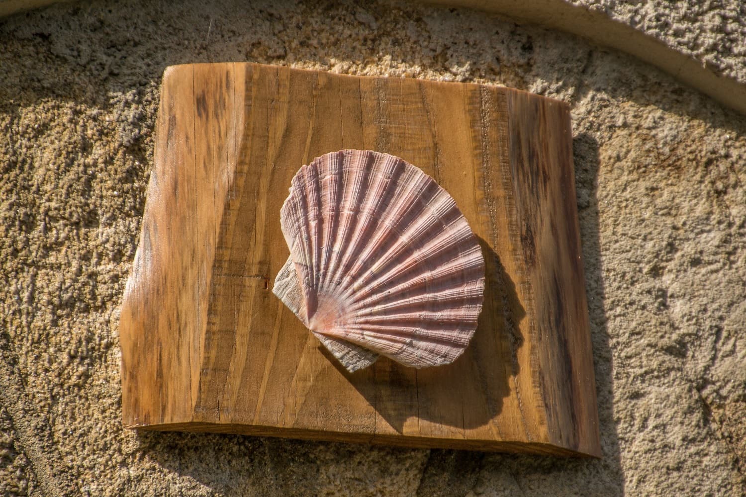 La Petite Maison - Chambre d'étape pèlerins_6
