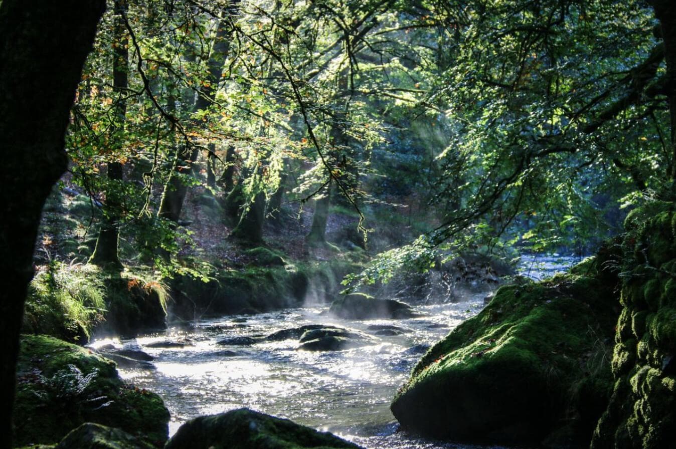 Le Chant des Sources_23