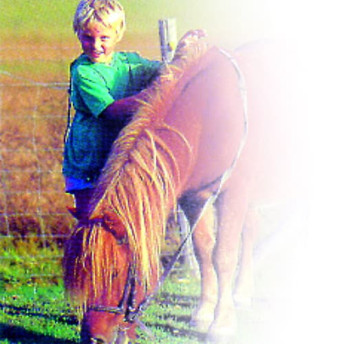 Gite enfant Bressy_3