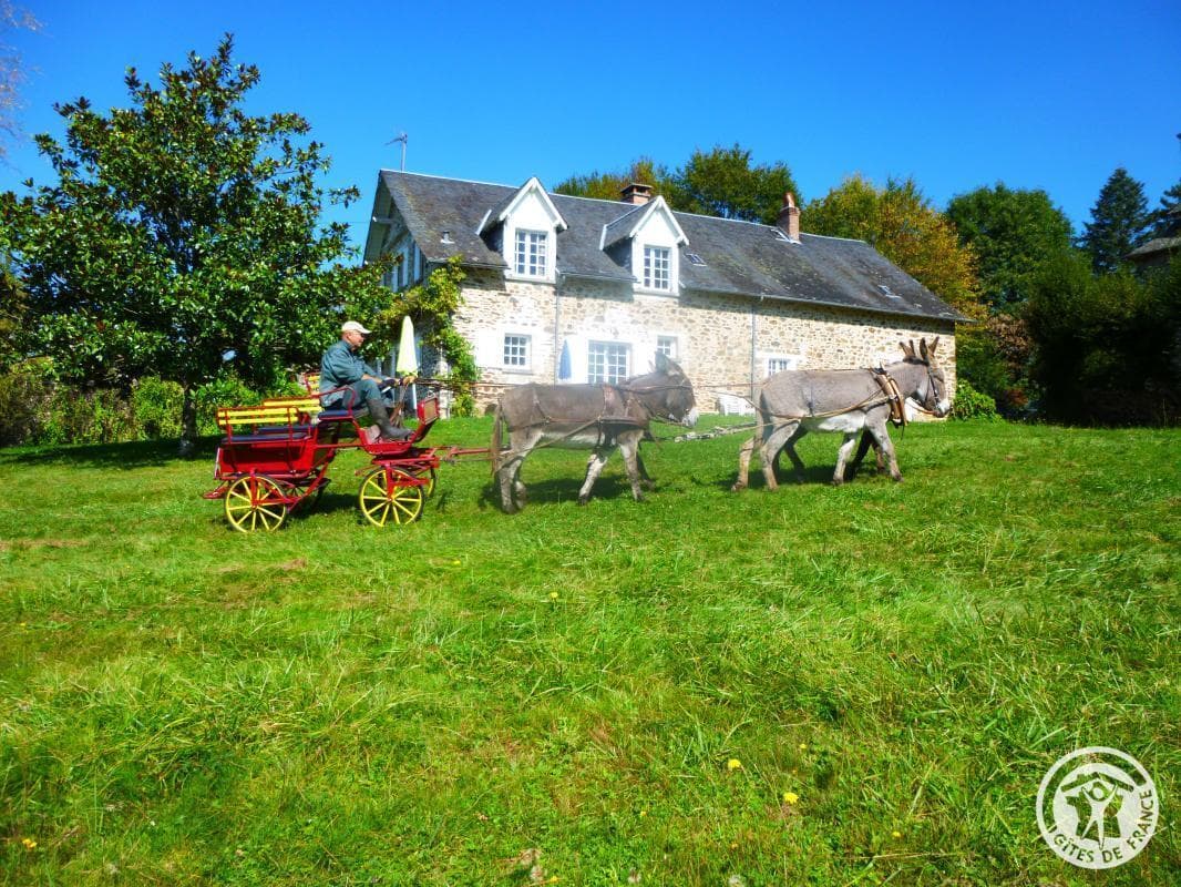 Le Gîte des Ânes- Ludogîte_11