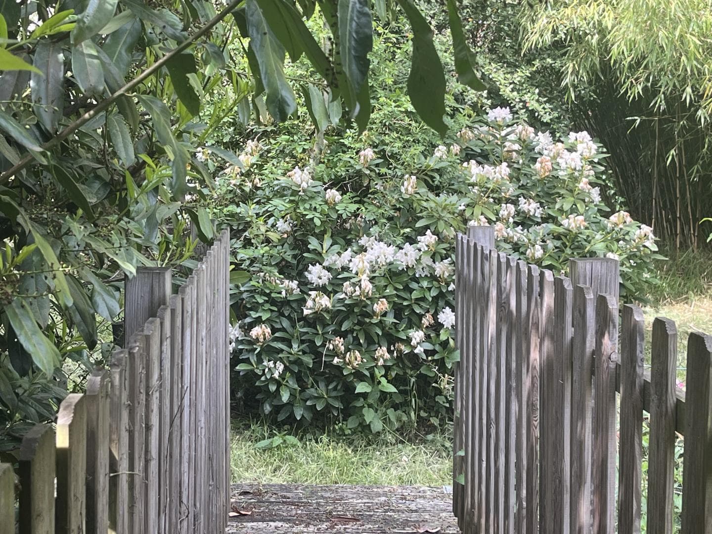 Gîte et jardins fleuris_7