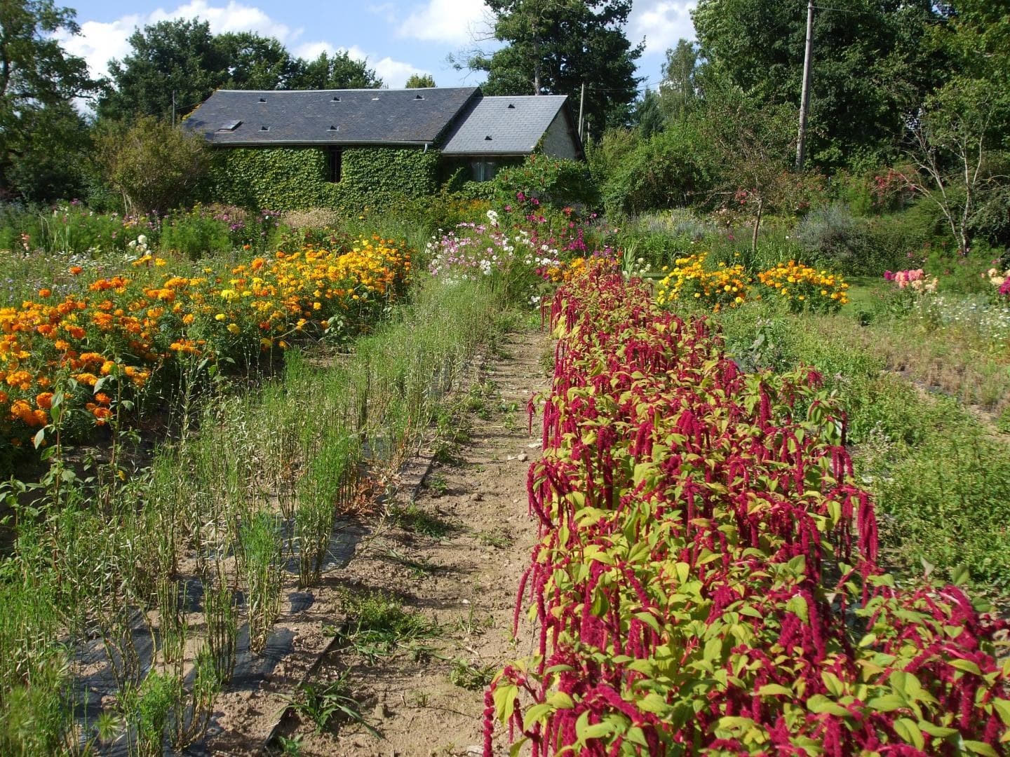 Gîte et jardins fleuris_34