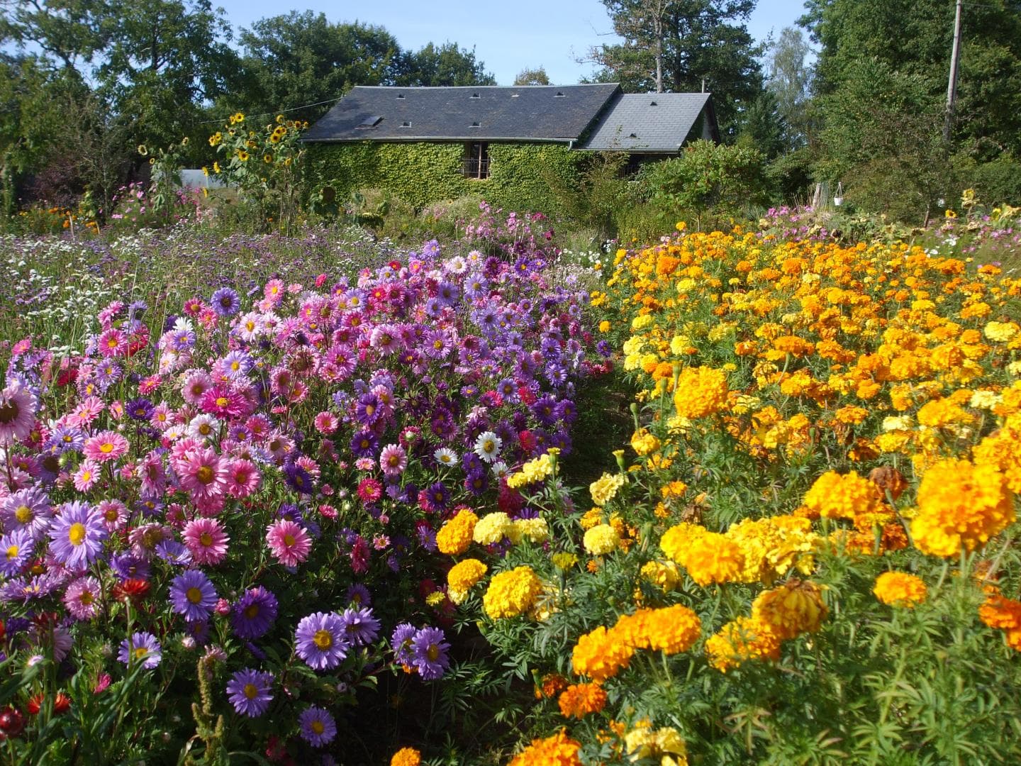 Gîte et jardins fleuris_33