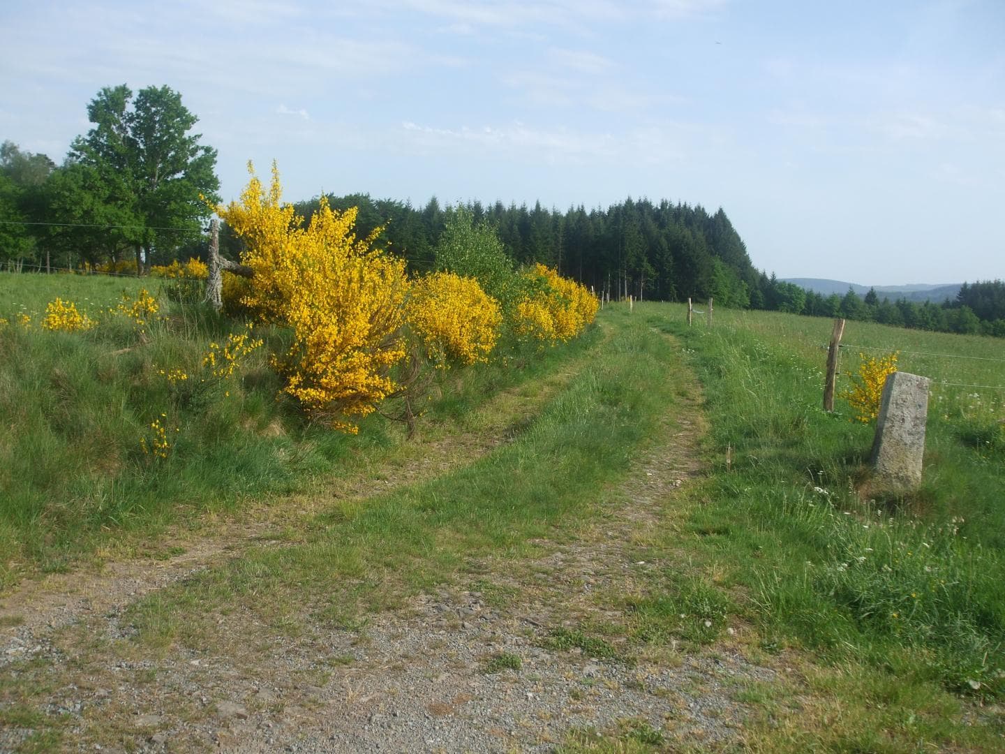 Gîte et jardins fleuris_30