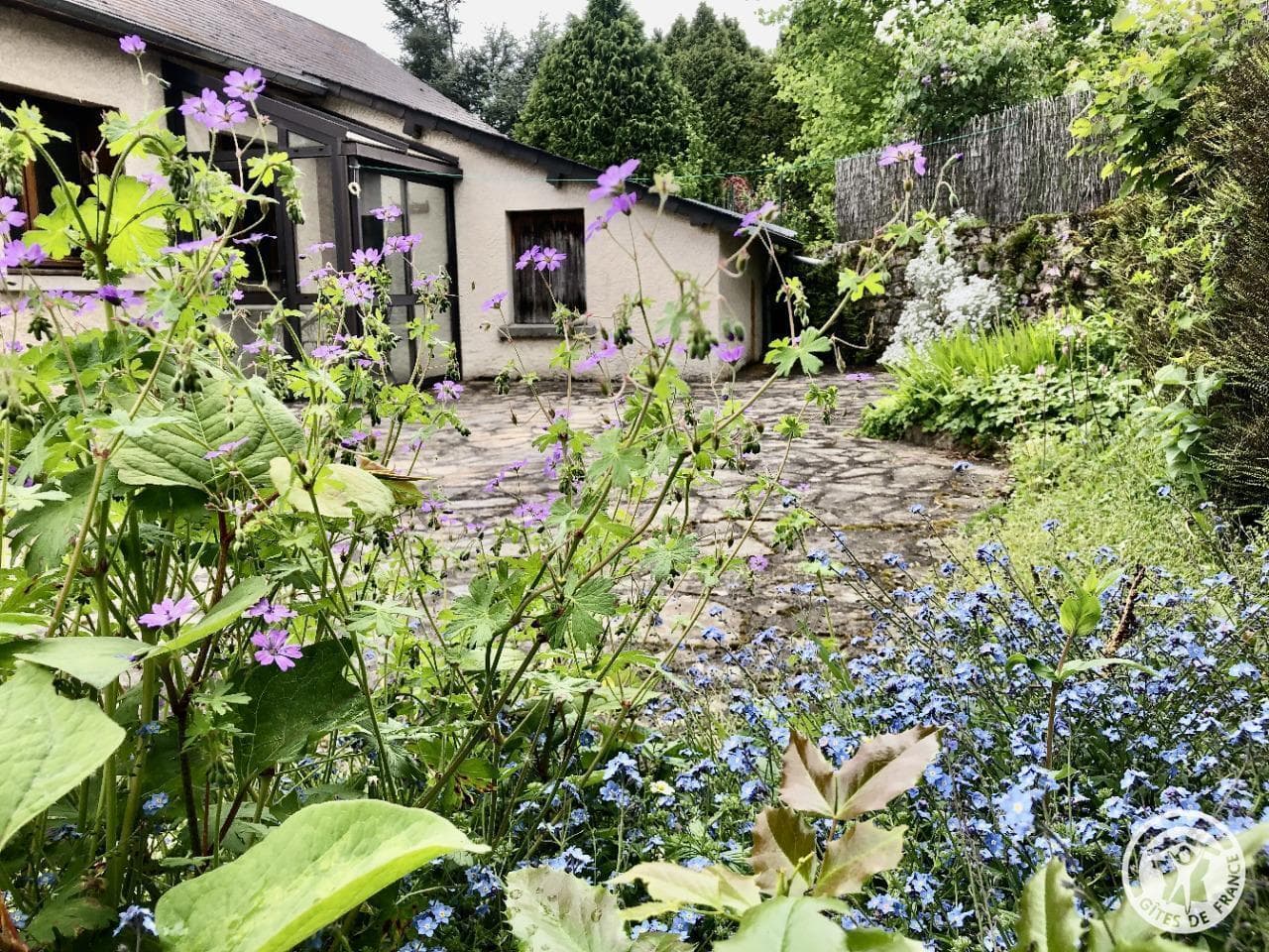 La Petite Maison_21