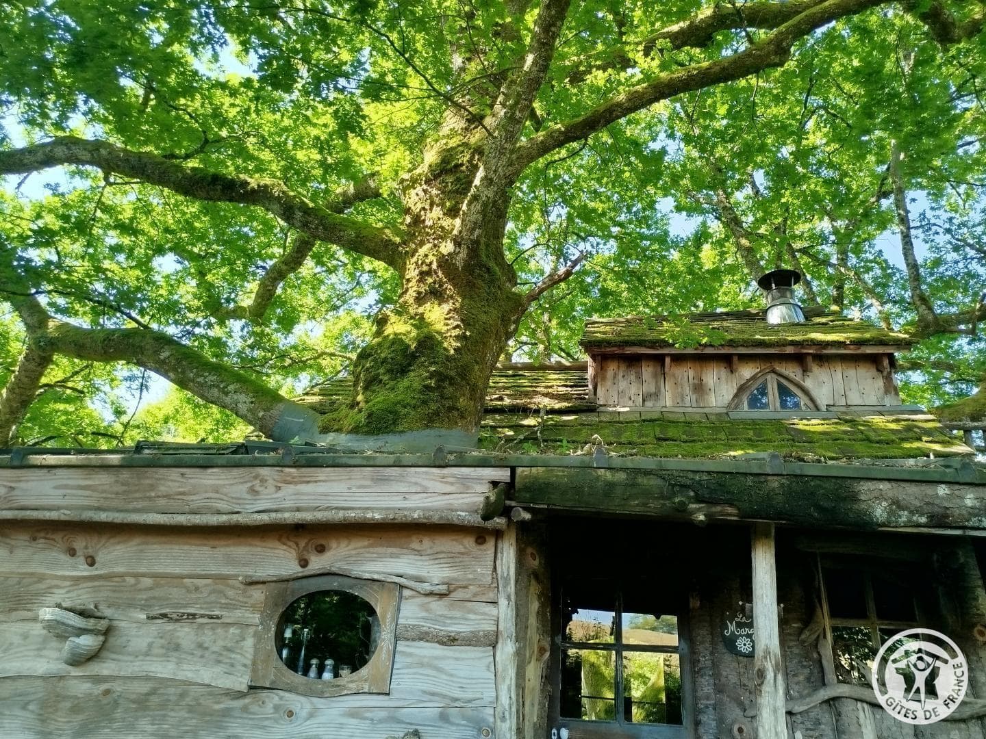 La Margo à La ferme des histoires mélangées_11
