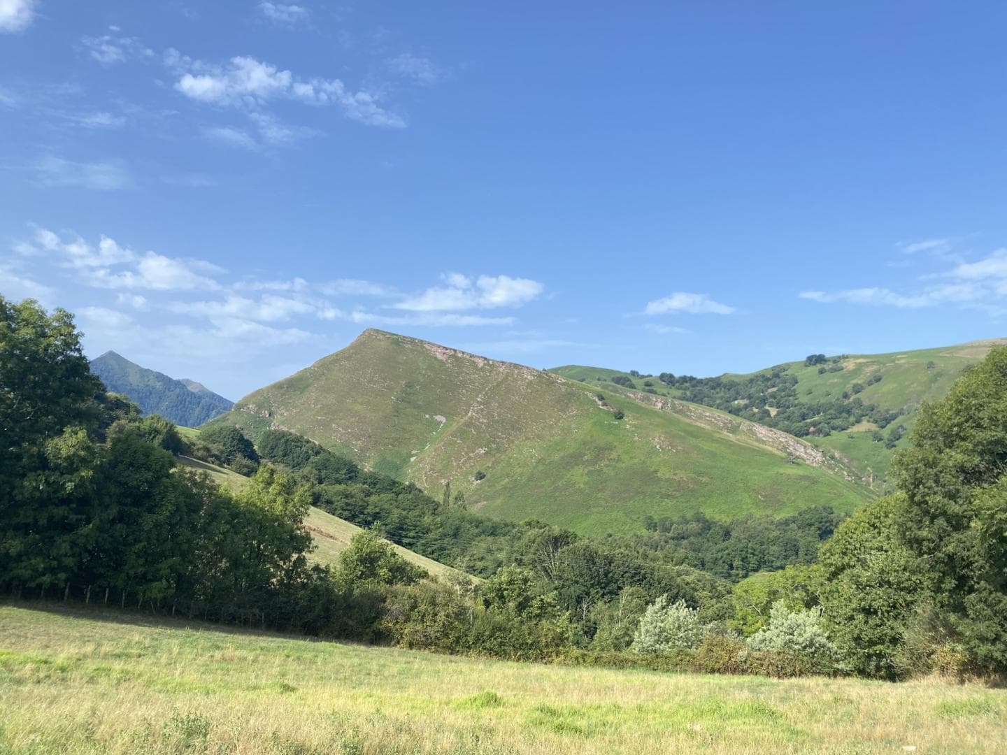 bidarray-peontenia-pyrenees-pays-basque