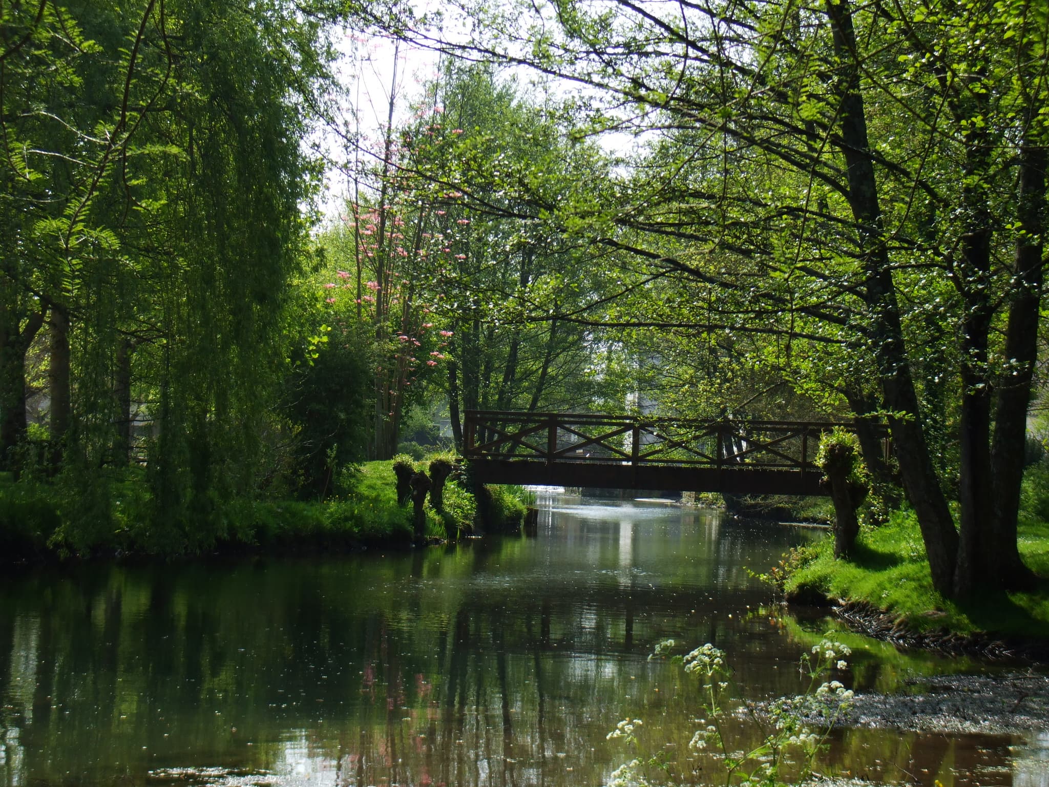 La Sèvre niortaise au Moulin l'Abbé