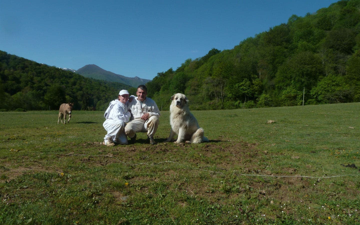 2014-Le-rucher-du-Mourle - - 3-ok