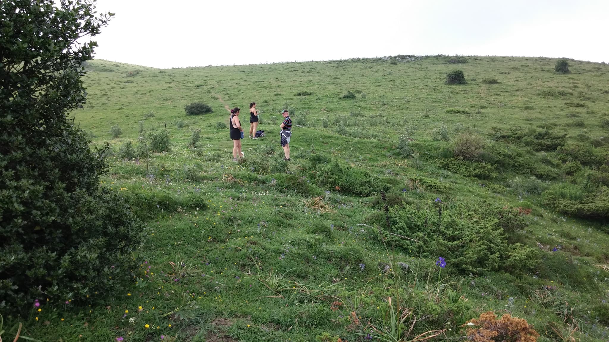 20140726_164842espace et nature