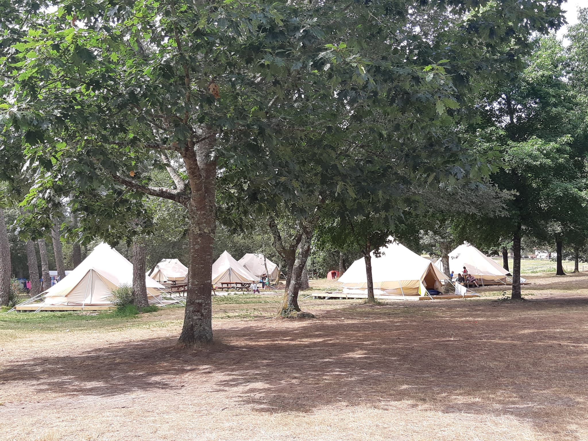 camping