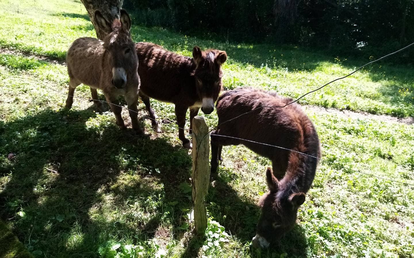2021 gîte Marly Arthez d'Asson crédit Lacoue (3)