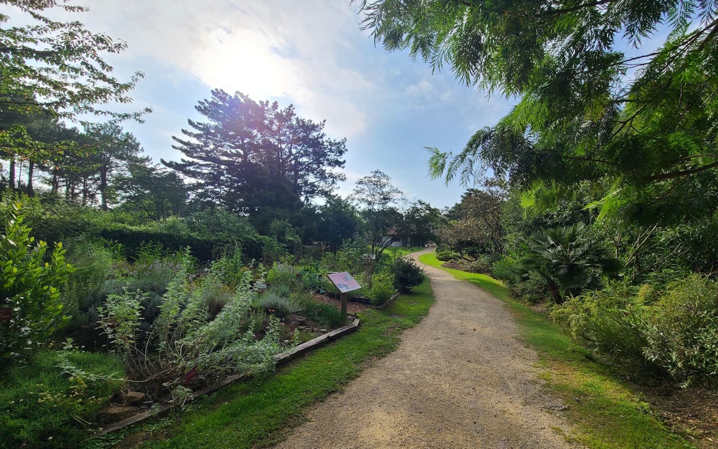 20230706-jardin-botanique