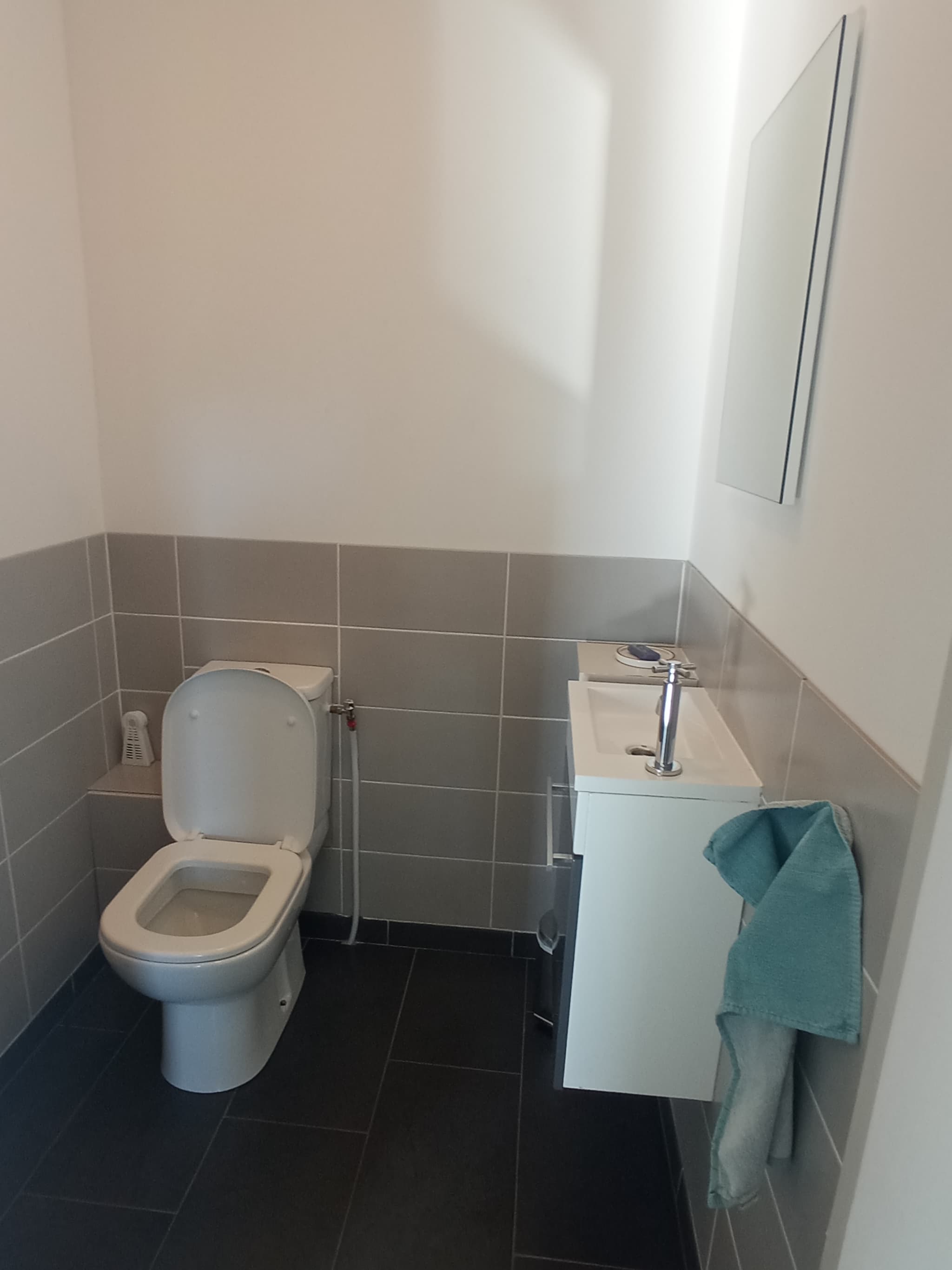 toilet