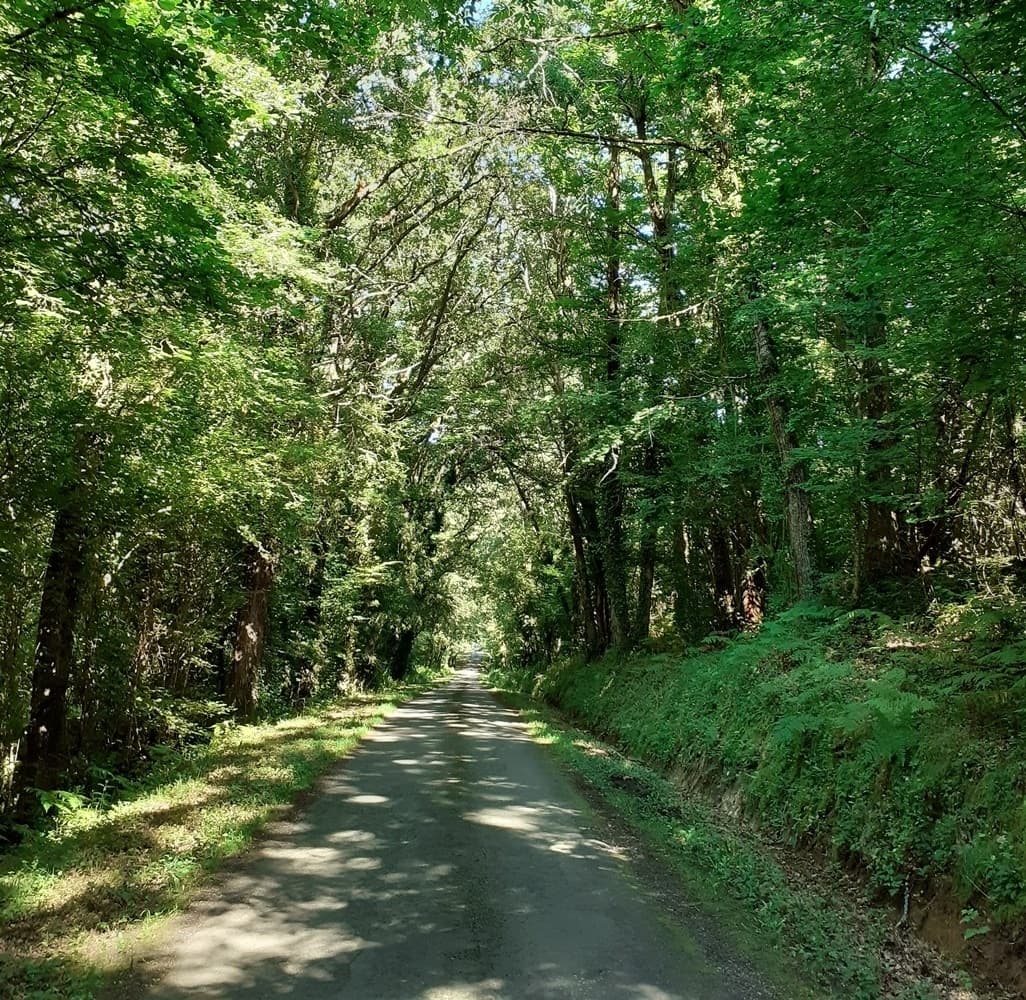 20240724_172218 promenade au Lestancou à 500 M