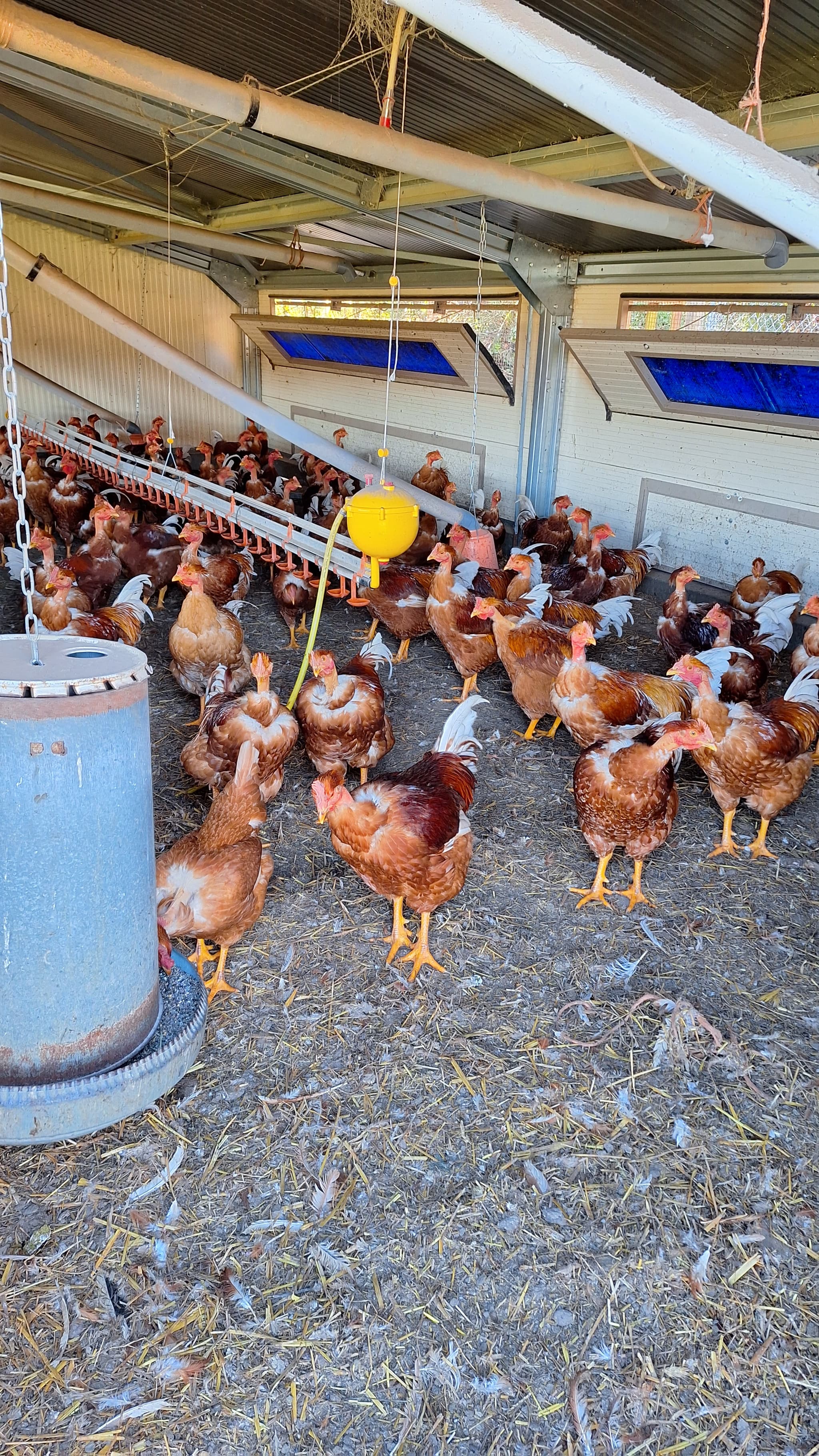 Ferme Bernatmoulié