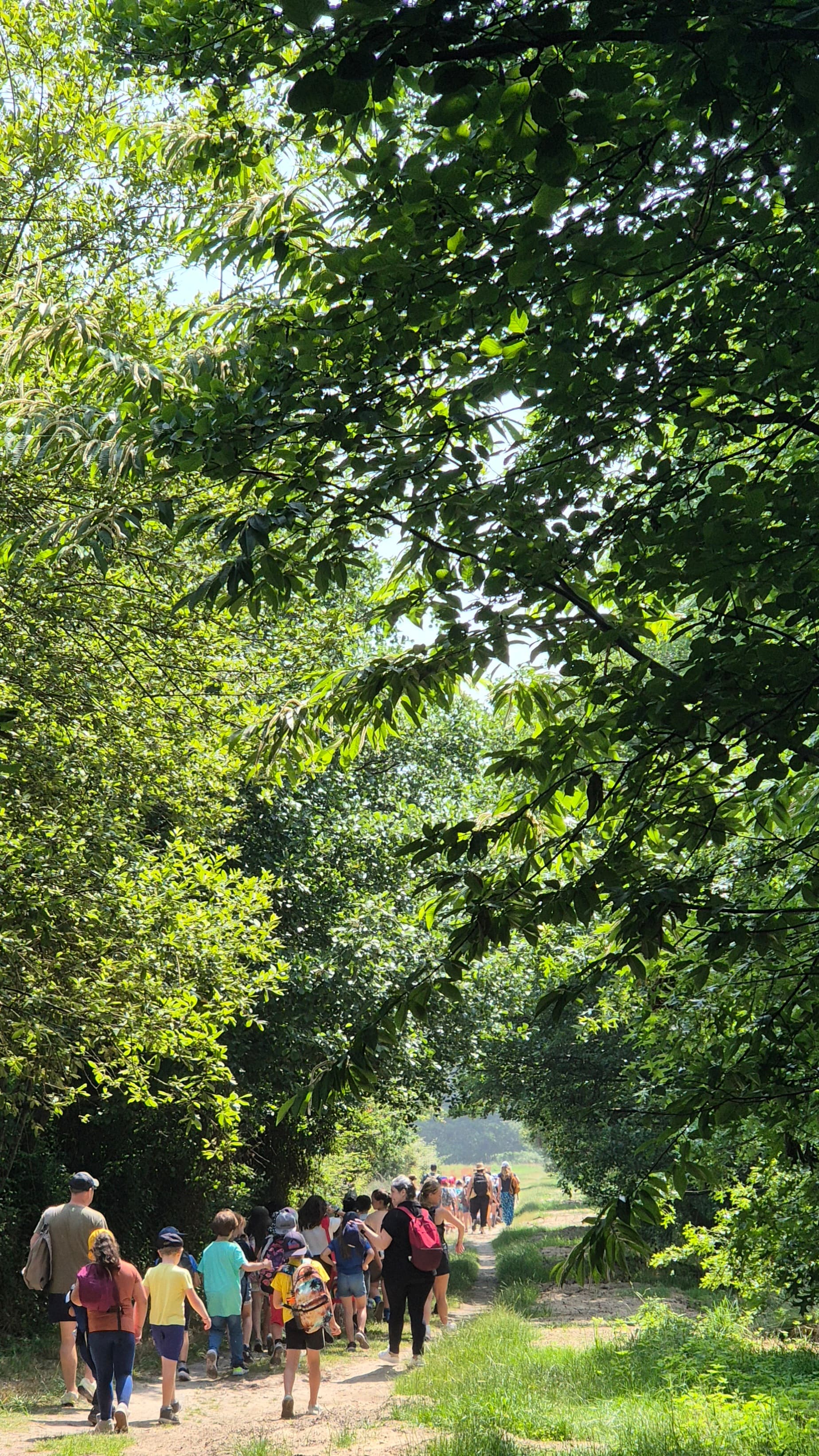Sortie Nature Landes