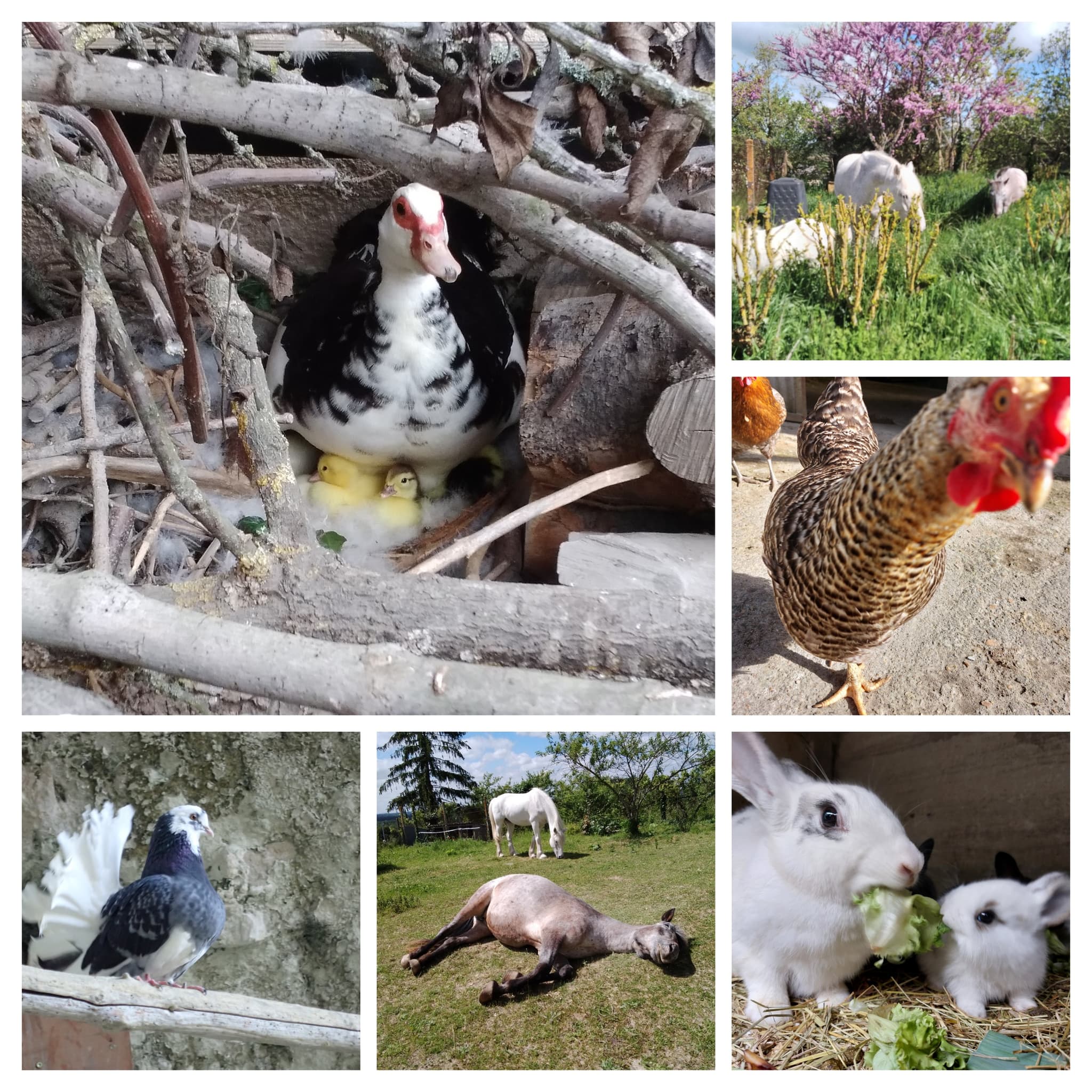 20251118_134737-COLLAGE