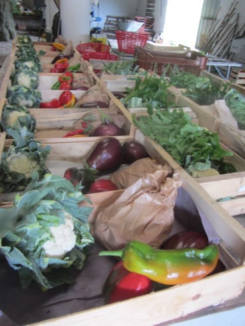 terre ferme coussac bonneval_2