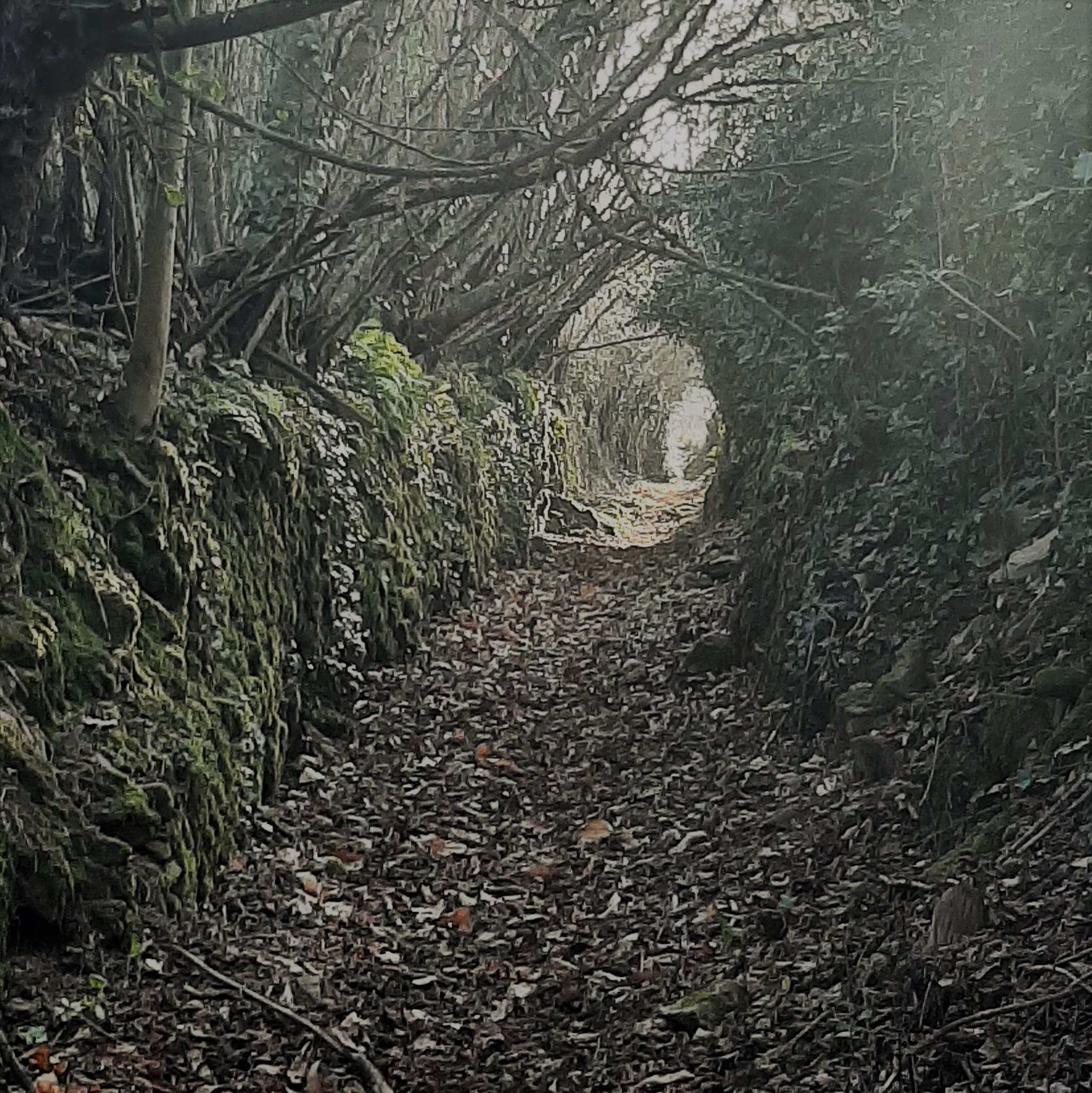 Les combes de la Cazine_3