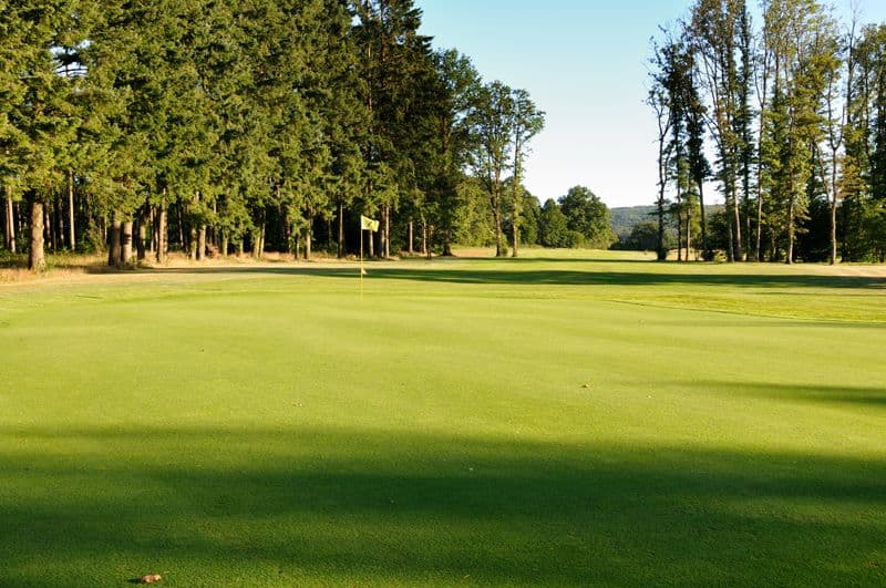 otGolf de Mortemart