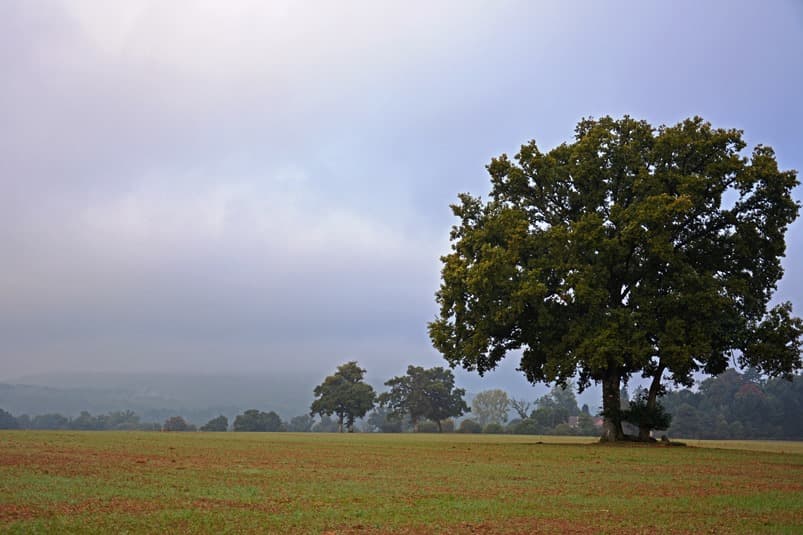Les Monts de Blond_6