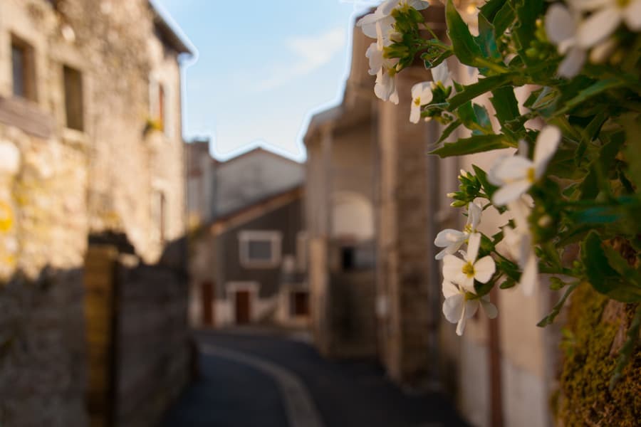 Châteauponsac©Sabine Massé