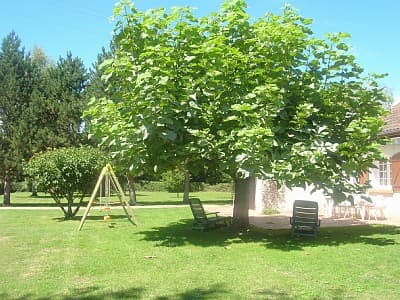 Meublé de tourisme Le catalpa_11