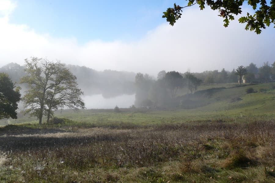L'abeille des Monts de Blond