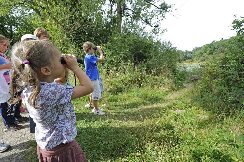 Détectives naturalistes en herbe_1