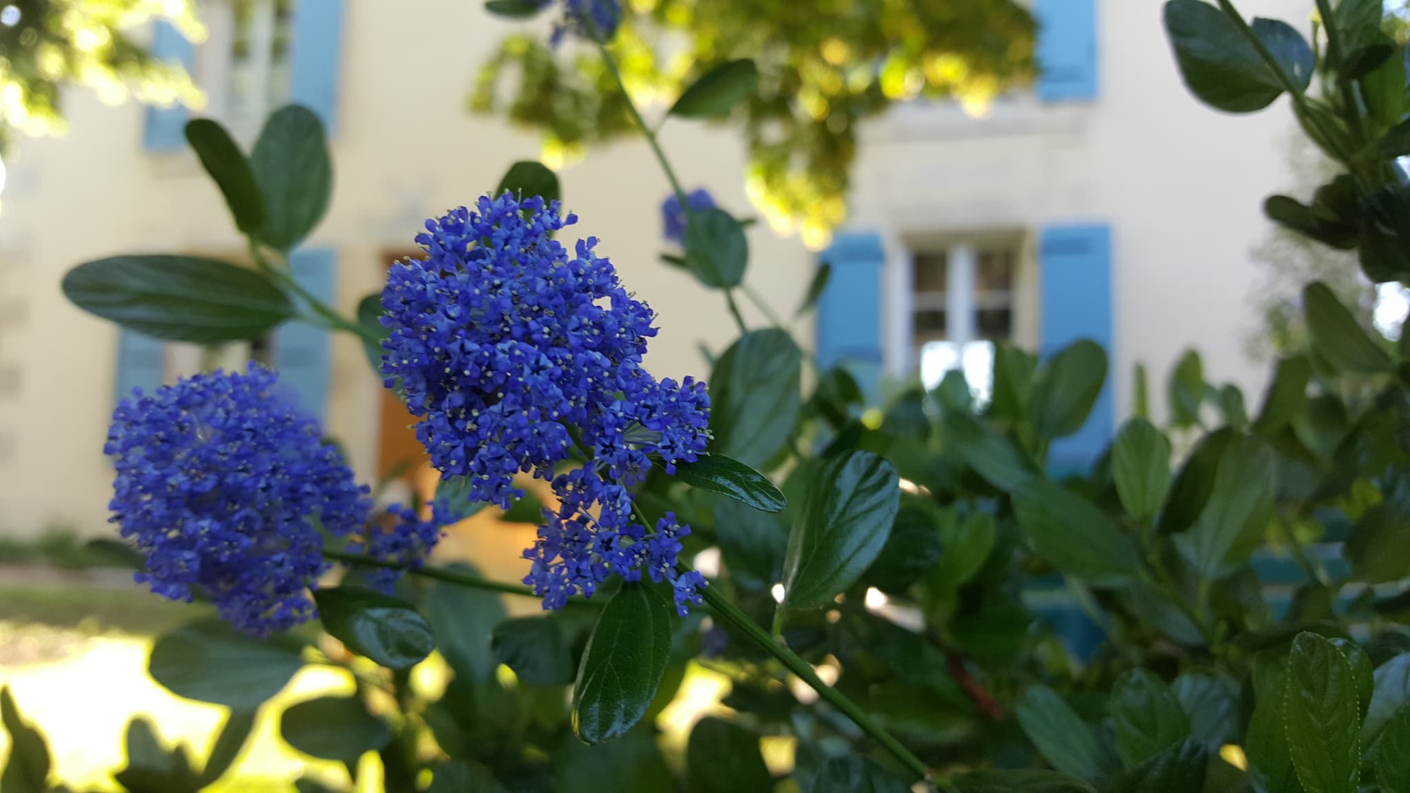 Le jardin