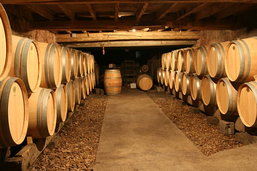 Clos moteles Viticulteur Vins degustation Ste Verge Thouarsais Deux Sevres