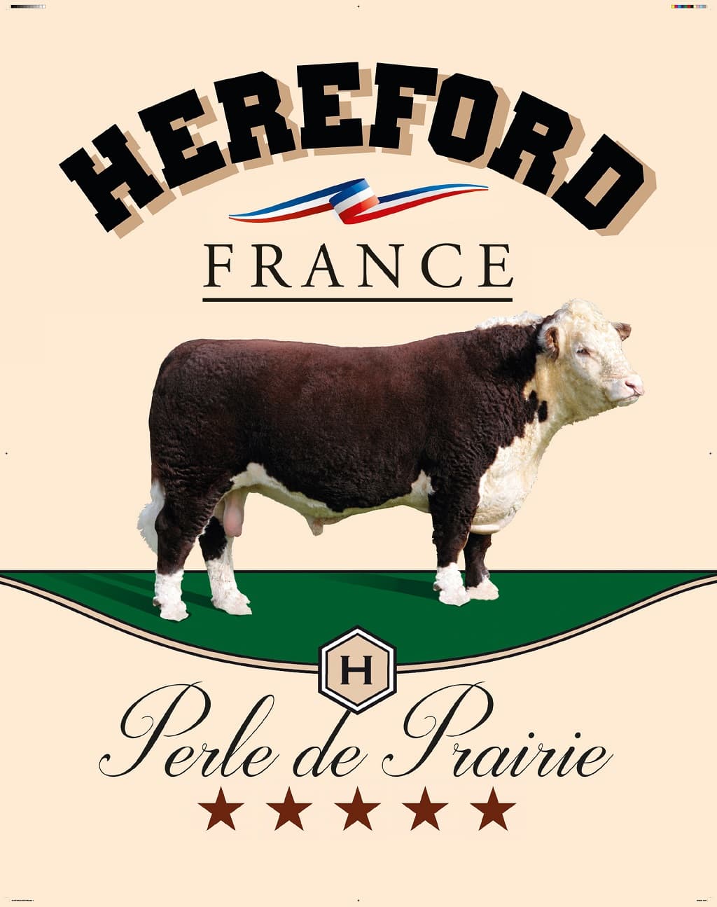 Haras de la Toison d'Or_3