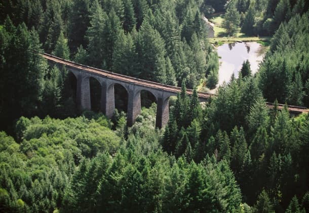 Douglaseraie des Farges_2