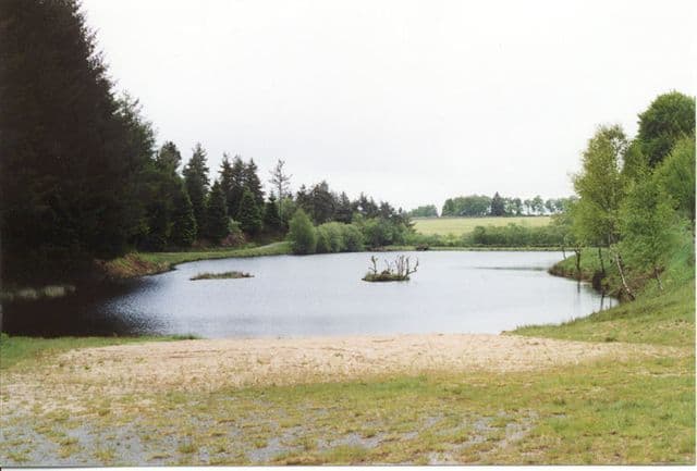 Étang de Feniers_1