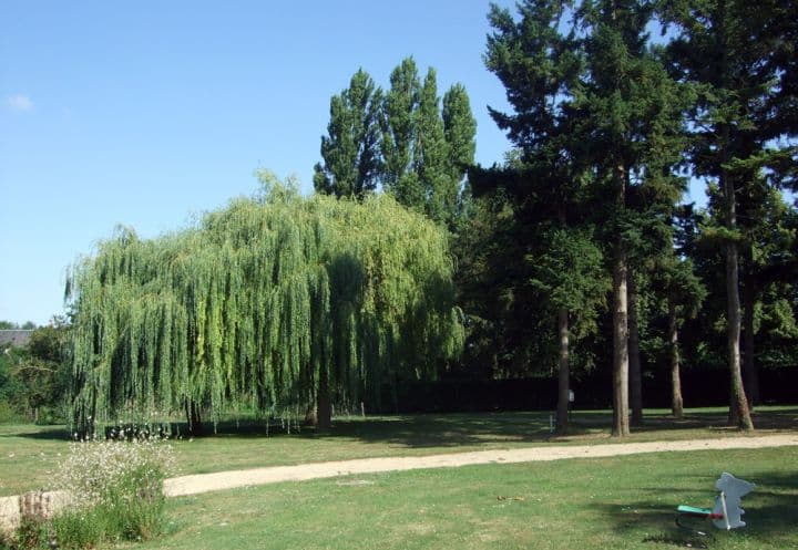 Camping des Ormes_1