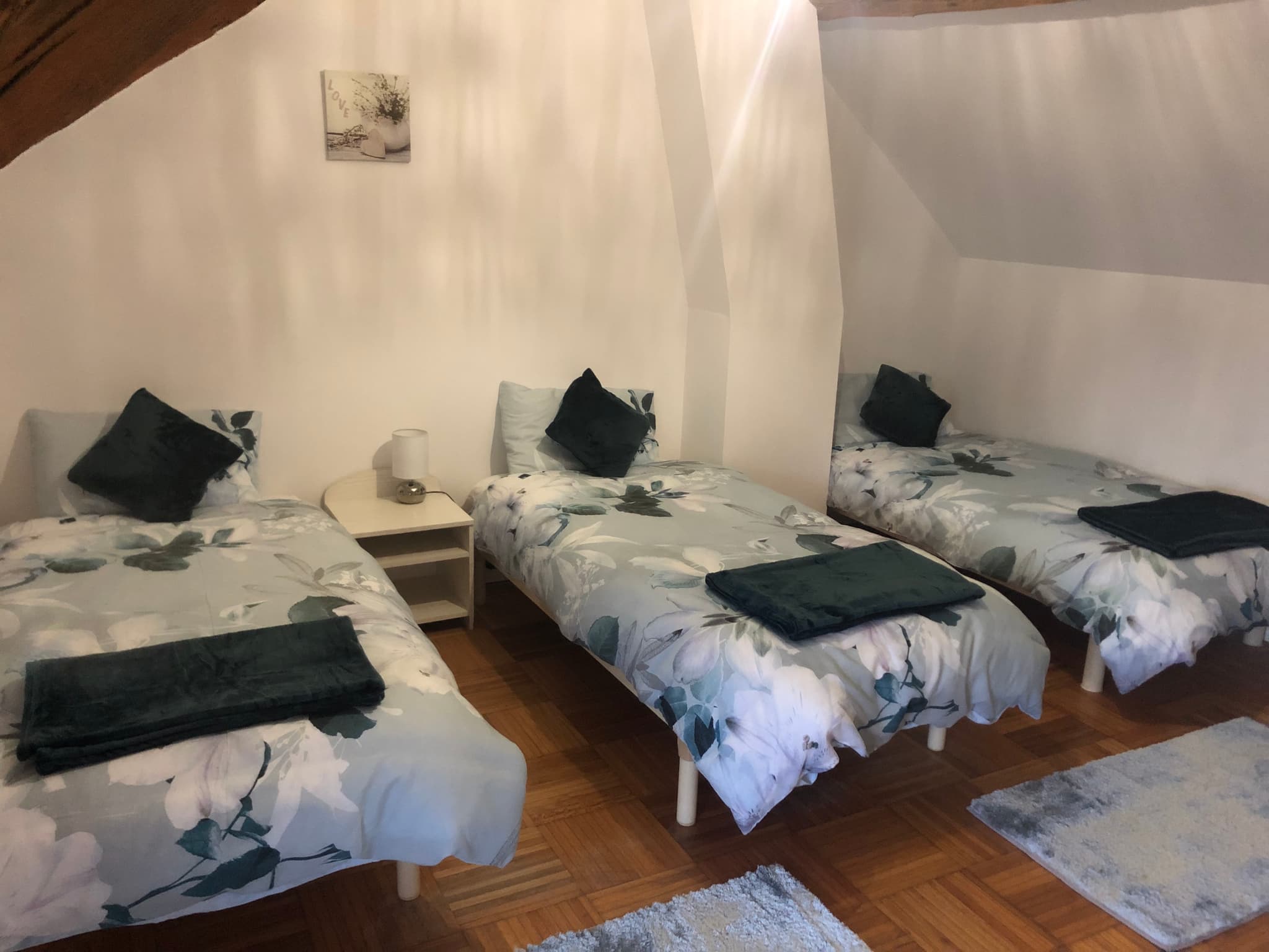 Chambre 2 avec 3 lits simples ou 1 lit doubel et 1 lit simple