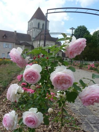 Roseraie de Lencloître - © commune Lencloître_3