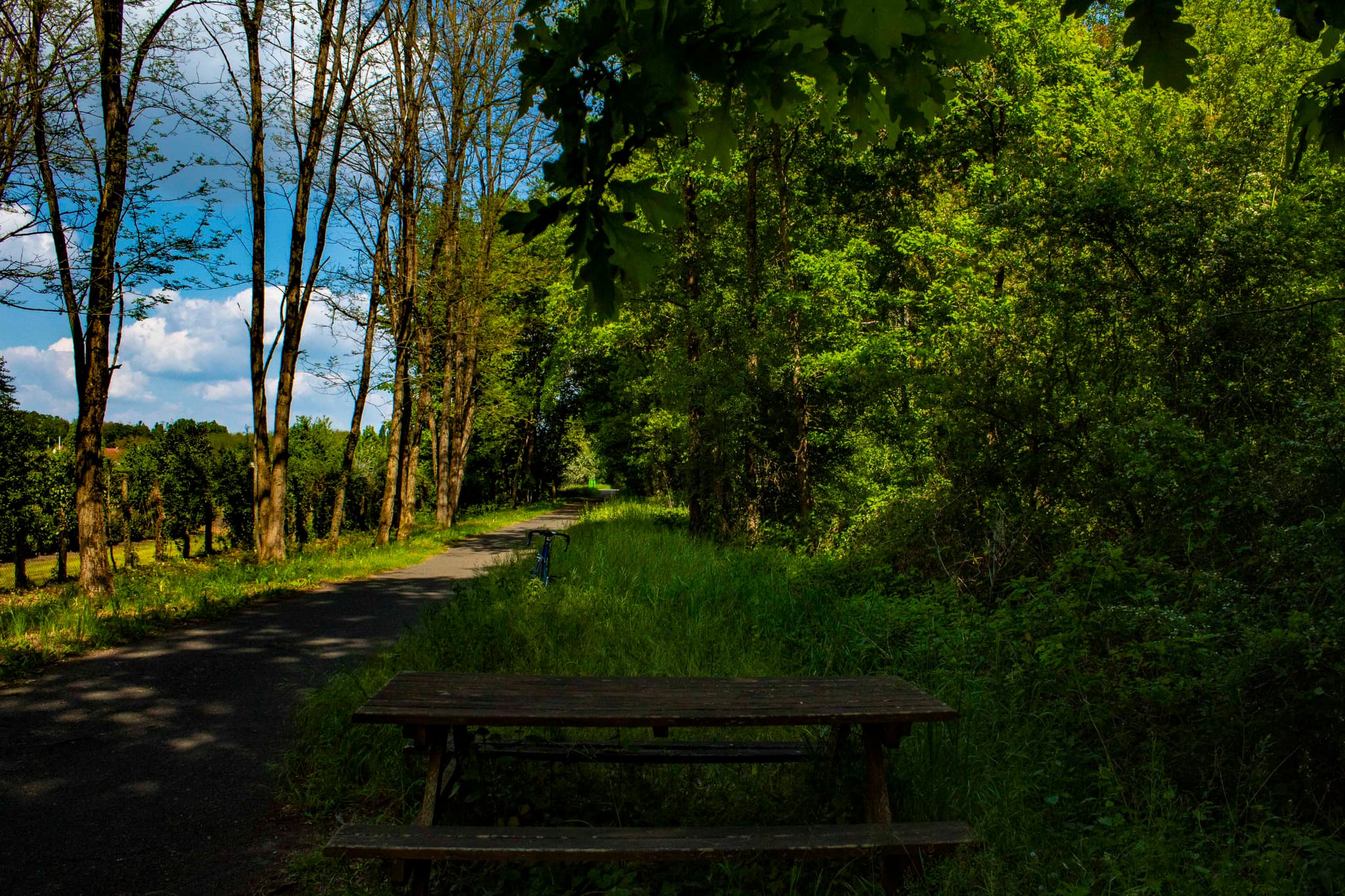 Deuxième table de pique-nique_1