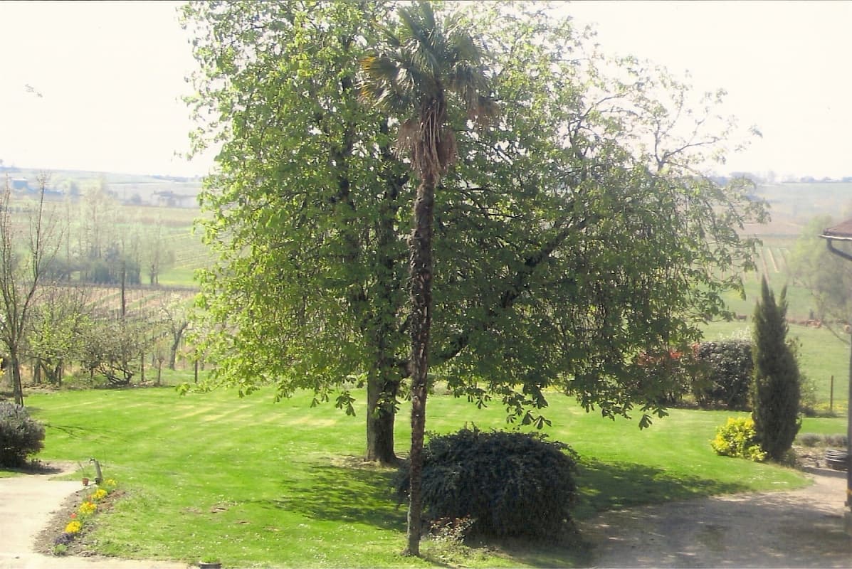3138 gite du jardinet